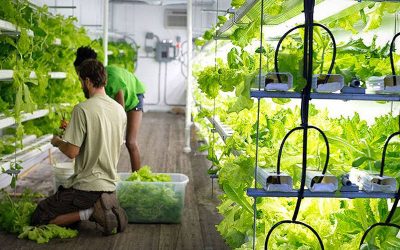 Shipping Container Farm: The Way Forward?